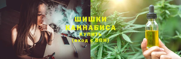 эйфоретик Гусиноозёрск