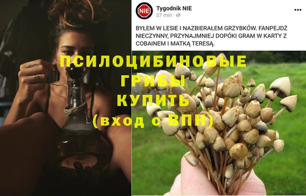 кокс Горно-Алтайск
