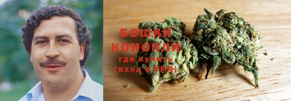 ALPHA-PVP Гусев