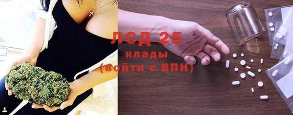 ALPHA-PVP Гусев