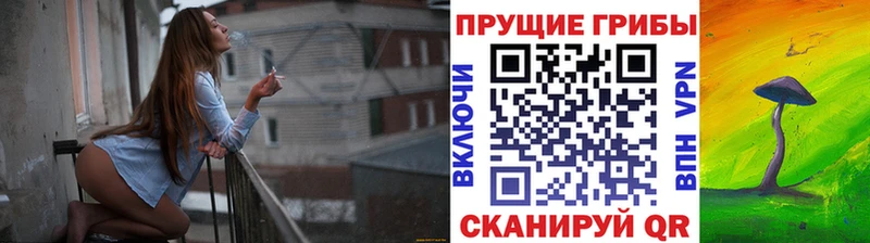 Псилоцибиновые грибы мицелий  Купить где  Белореченск 